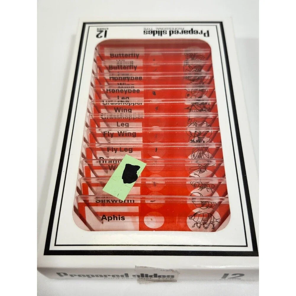 Lot of 48 Microscope Slides Prepared Animals Insects Plants Amscope for Children